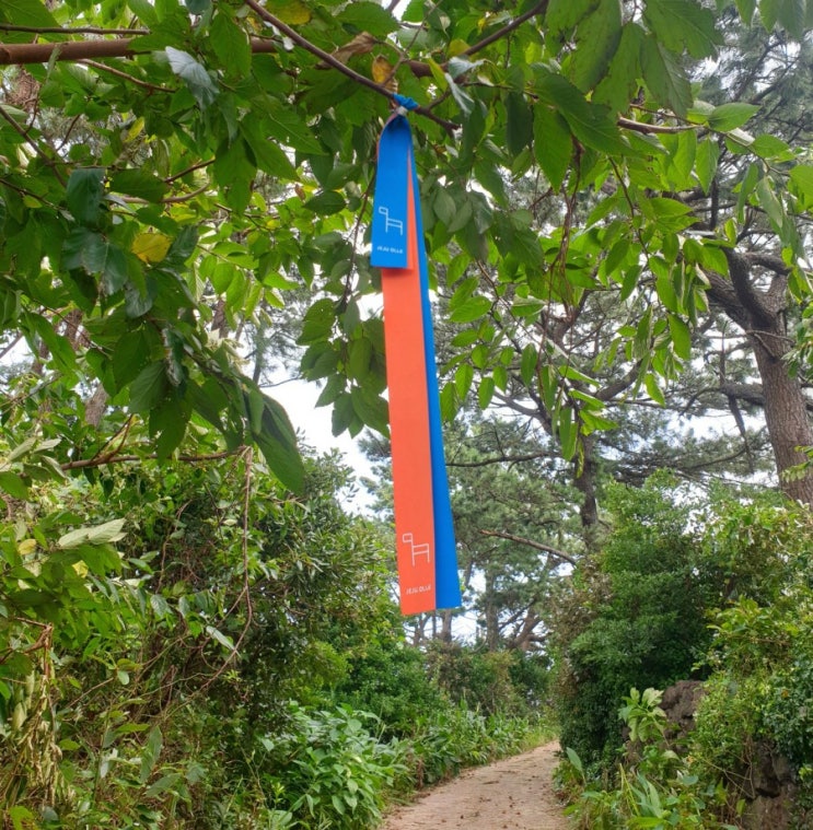  제주도 한달살기/나홀로 제주도 올레길 투어(5코스,7코스)