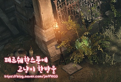 로스트아크]라스트라숲(왕의무덤) 모코코씨앗 겟하기! : 네이버 블로그