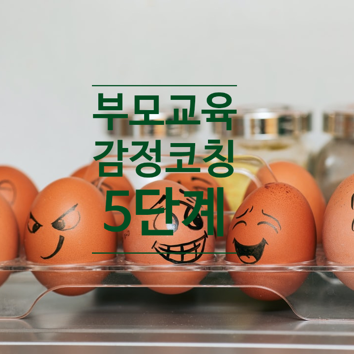  부산 힐링 엄마 감정코칭 대화법 부모교육 인성교육 박정웅강사