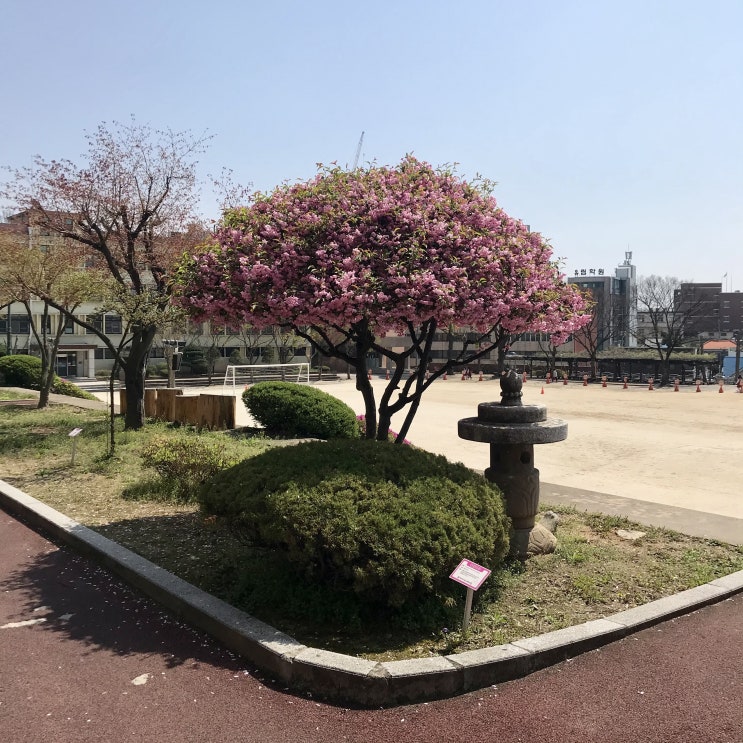 슬쌍디아빠 교단일기 FILE 159 / 이른 아침 출근