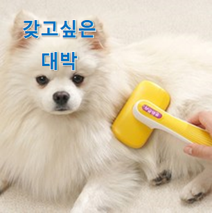  인스타에서도 난리난 그 상품! 비교해보세요 "강아지 빗 일자빗 꿀템상품 알아보자 너무 맘에듭니다