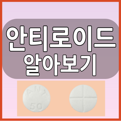  안티로이드정 갑상선기능항진증약 알아봅시다