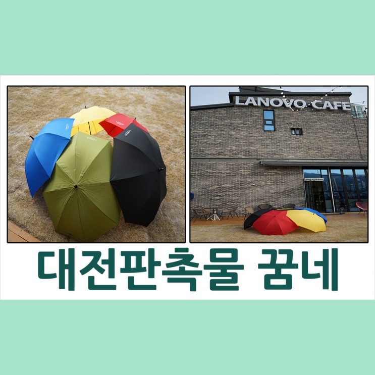 대전 우산제작은 대전 판촉물 꿈네