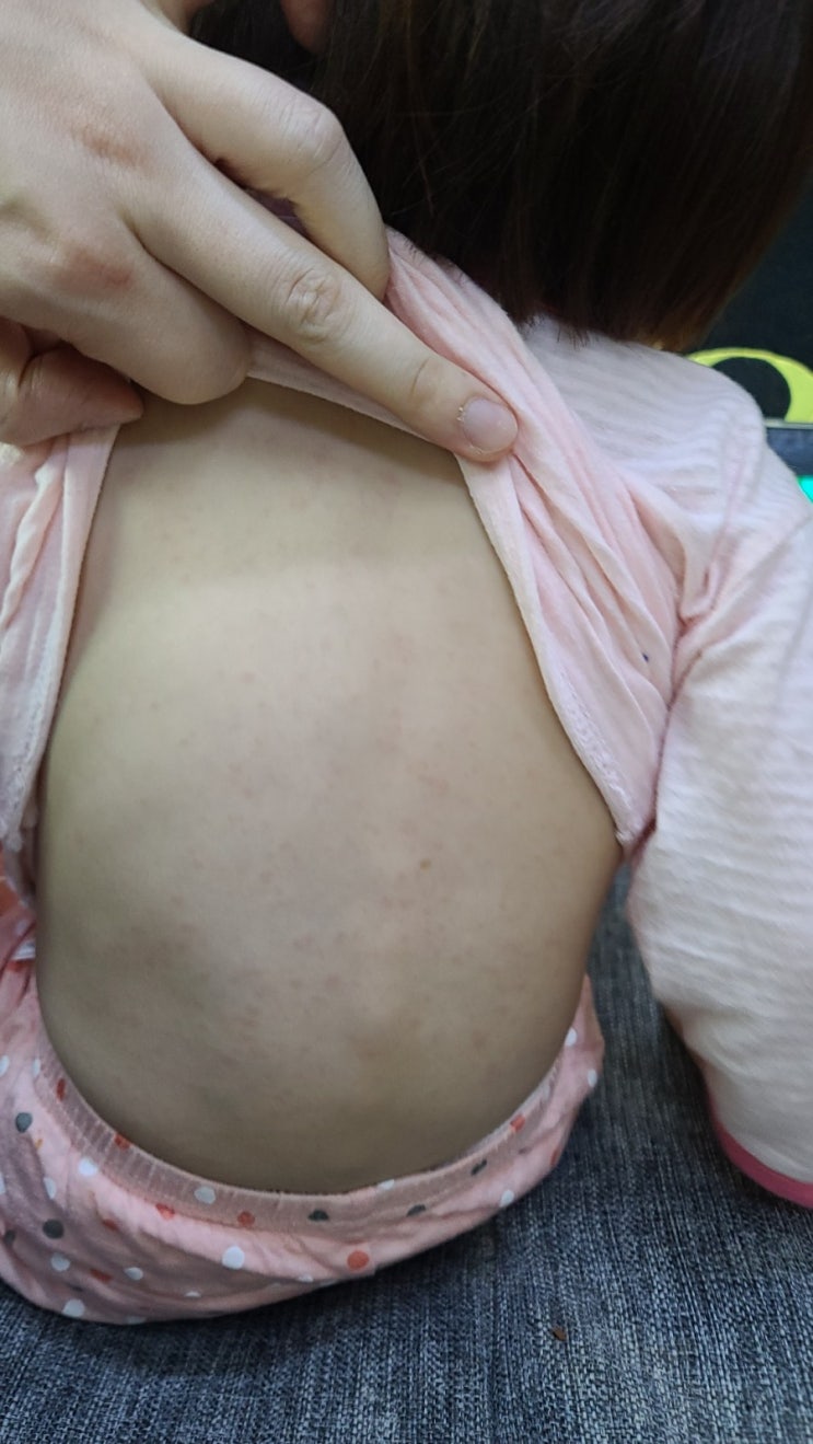  22개월 아기 일상 돌치레