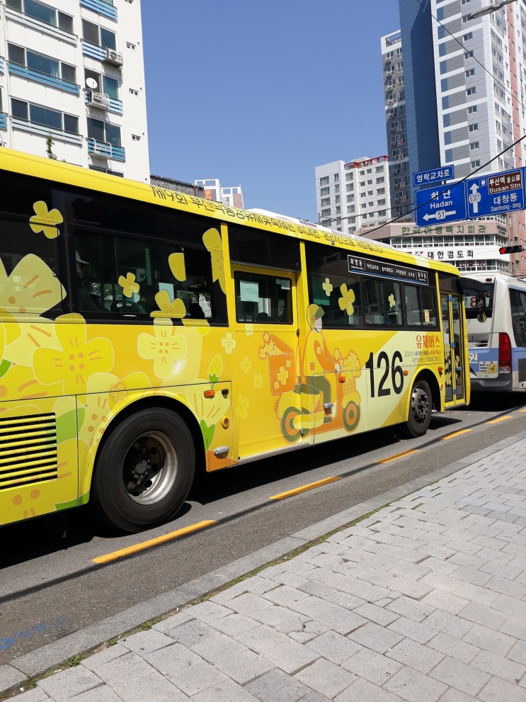 부산 126번 시내버스가 노란 유채꽃 색상으로 화려하게 변신했네요