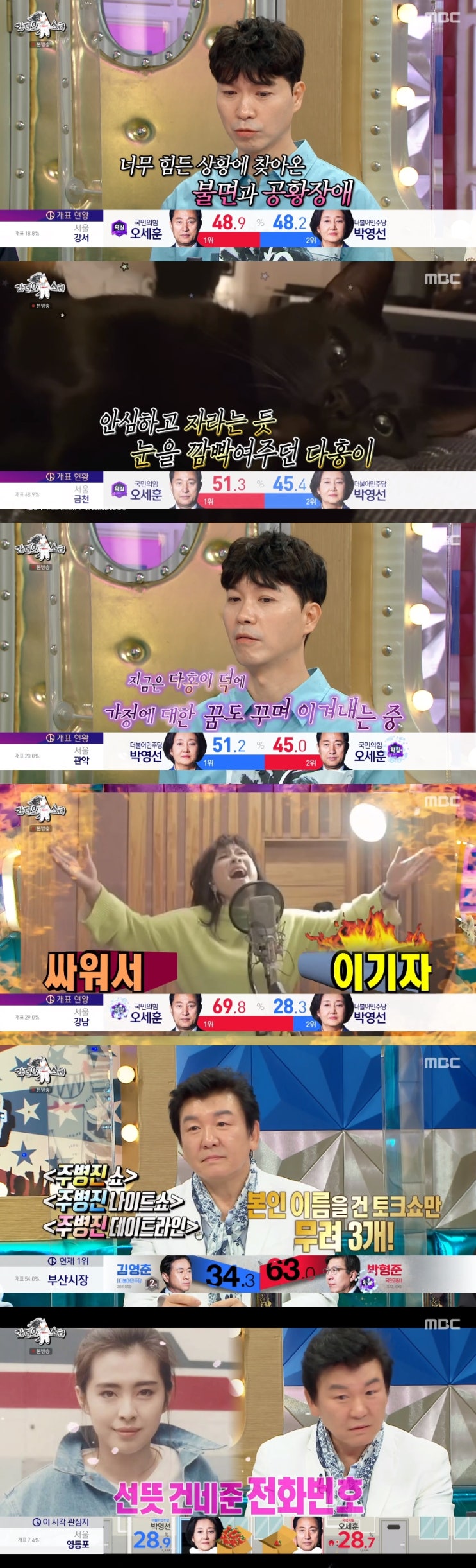 '라디오스타' 박수홍, 반려묘 다홍이에 대한 애정을 언급... 남에게 지지 않겠다고 밝혀! '라디오스타' 박수홍, 반려묘 다홍이에 대한 애정을 언급... 남에게 지지 않겠다고 밝혀!