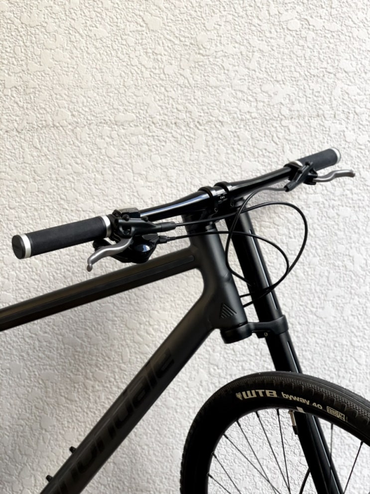  캐논데일 배드보이 1 후기 | (cannondale badboy 1 2019), 레프티 | lefty | 하이브리드 자전거