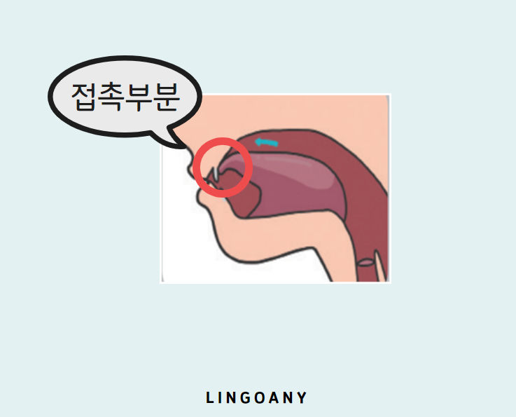 한글자음 ㅊ '치읓' 철자와 발음 이해하기 : 네이버 블로그