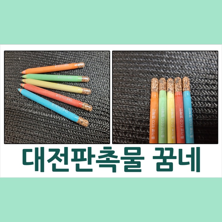  대전판촉물 대전서구청 여성가족과 씨앗연필 납품