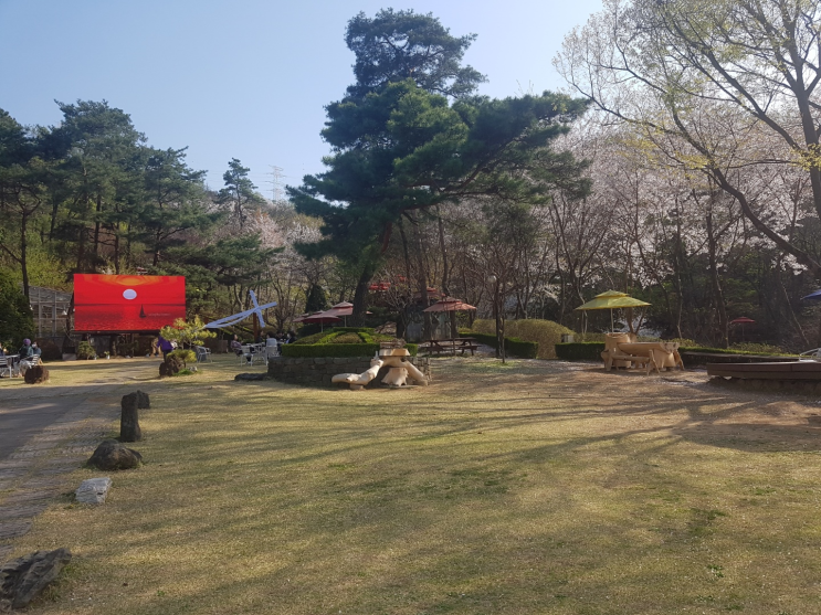  [과천카페] 야외 정원이 있는 문원동 "만나카페"
