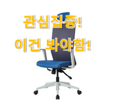 제일 인기있는데는 이유가 있엇네요 입증된 "듀오백 의자 이구요. 강추에요! 제일 인기있는데는 이유가 있엇네요 입증된 "듀오백 의자 이구요. 강추에요!