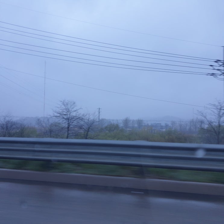  태음인 특징과 건강 관리