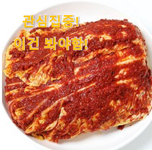 유튜브에서도 난리난 그 상품! 가성비혜자 "대전 선화동 실비 파김치 제품 이라구요. 이건 사야돼! 유튜브에서도 난리난 그 상품! 가성비혜자 "대전 선화동 실비 파김치 제품 이라구요. 이건 사야돼!