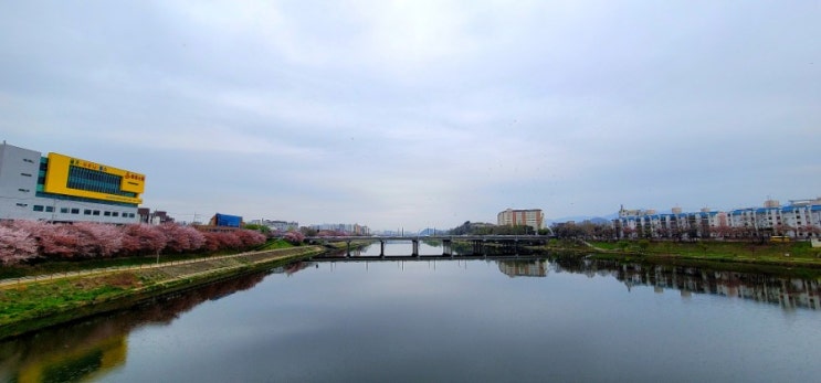  대구 명소 데이트코스, 아양기찻길(아양교 기찻길, 강변 산책로, 금호강, 벚꽃, 분위기)