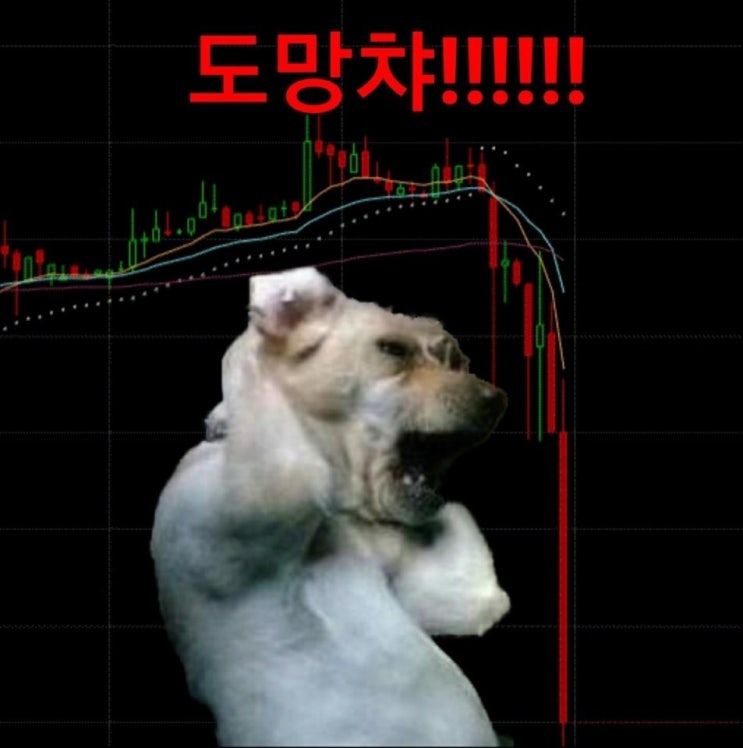  비트코인 코인과열, 김치프리미엄(김프) 뜻, 김프폭락