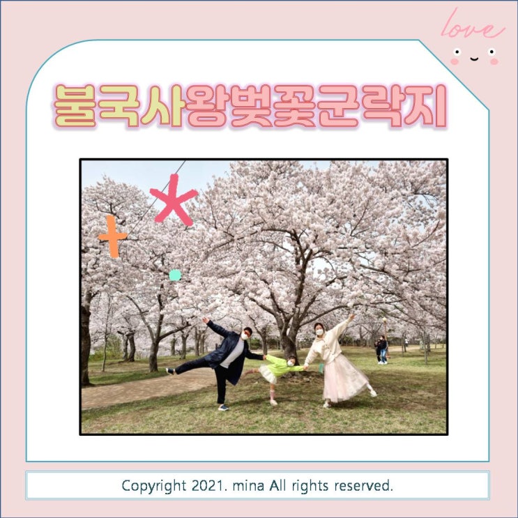  벚꽃놀이 명소 - 경주 불국사 왕벚꽃군락지 벚꽃 개화 현황
