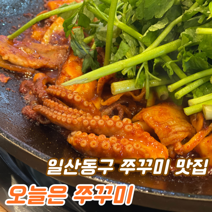  일산 쭈꾸미 맛집 그만 찾아 :: 일산 동구 '오늘은 쭈꾸미(오쭈)'