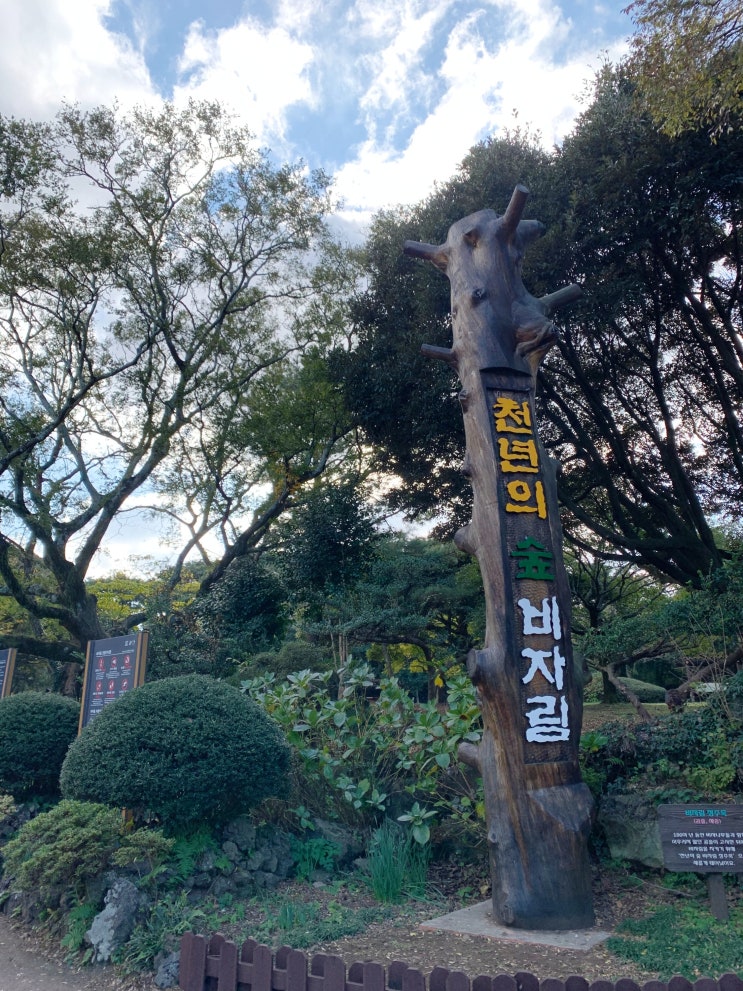  제주도 5박 6일 여행_Day 5 :: 비자림/함덕해수욕장/원담 재방문