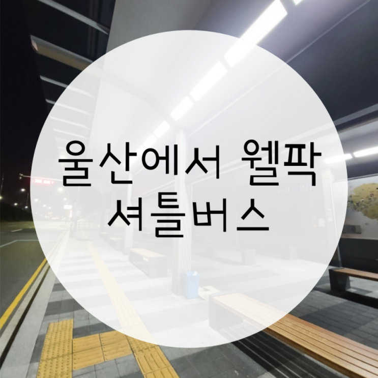 울산에서 웰리힐리파크 가는 셔틀버스,신복로터리 무료주차장 울산에서 웰리힐리파크 가는 셔틀버스,신복로터리 무료주차장