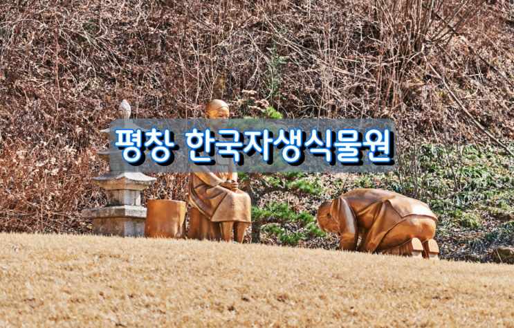 평창 한국자생식물원 봄나들이 평창 한국자생식물원 봄나들이