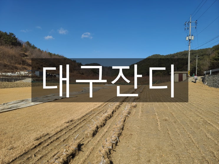  대구 잔디 배송했어요