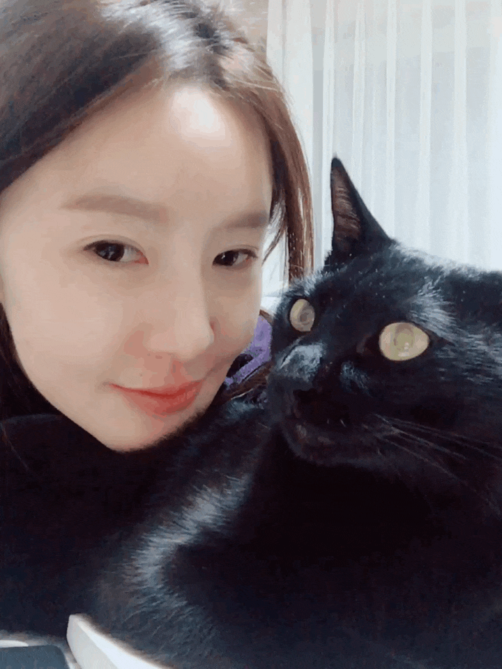  도시의 방랑자, 길냥이 관찰기다옹
