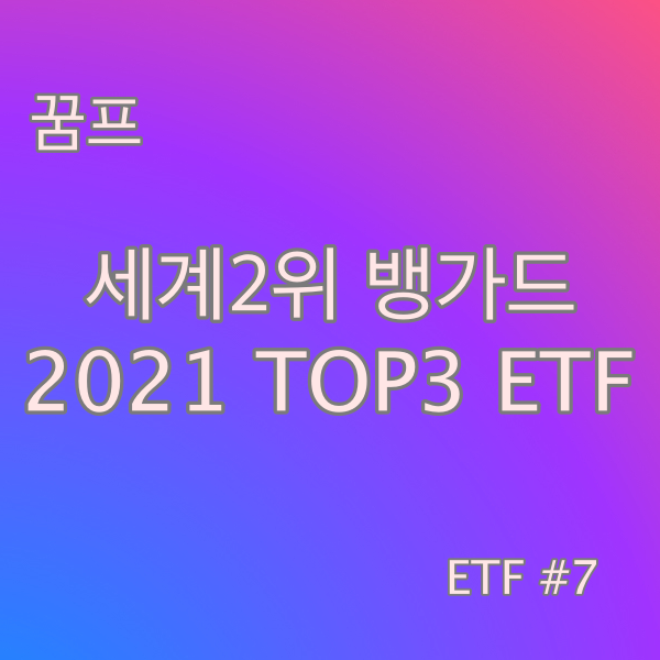 2021 뱅가드 Vanguard TOP3 ETF #7