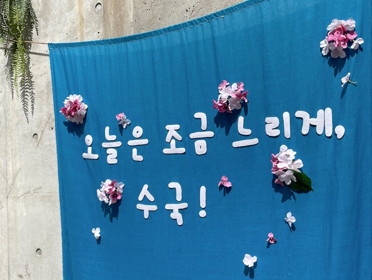  평강랜드 수국정원, 5월 경기도가볼만한곳