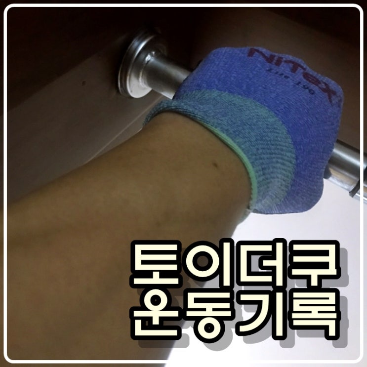토이콜렉터 손대니의 운동기록 - 210407 토이콜렉터 손대니의 운동기록 - 210407