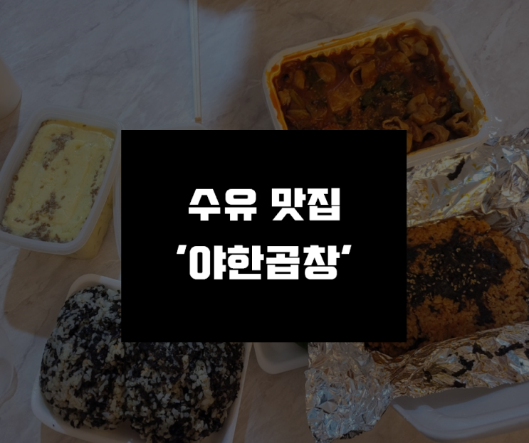  [야한곱창 수유점] 냄새 안나고 맛있는 곱창 추천!!! '야한곱창'