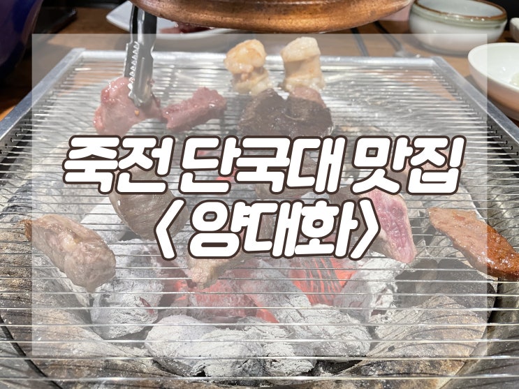 :: 맛집 :: 용인 죽전 단국대 맛집 &lt;양대화&gt; 내돈내산 리뷰