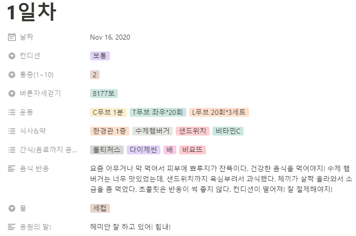  역류성 식도염 탈출기 Ep3.식단 운동 일지 기록하는 방법 - 노션양식 공유