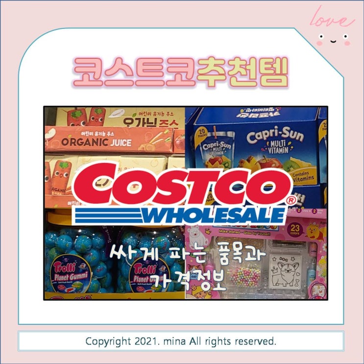  코스트코 추천템 / 다른 곳보다 저렴하게 파는 품목들 소개 (가격정보 & 할인정보)