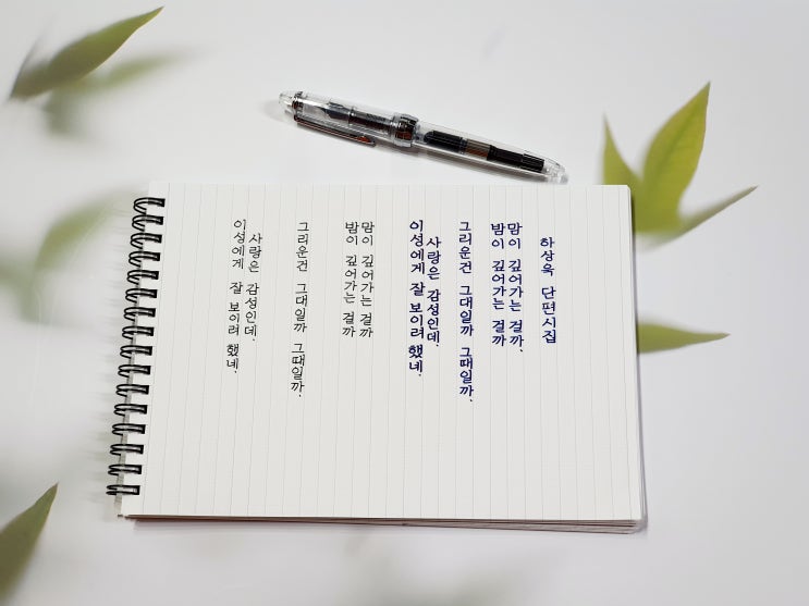  하상욱 시 를 세로로 쓰기는 어려워...