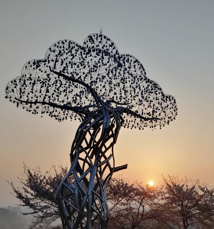 설봉산 햇살의 아름다움 설봉산 햇살의 아름다움