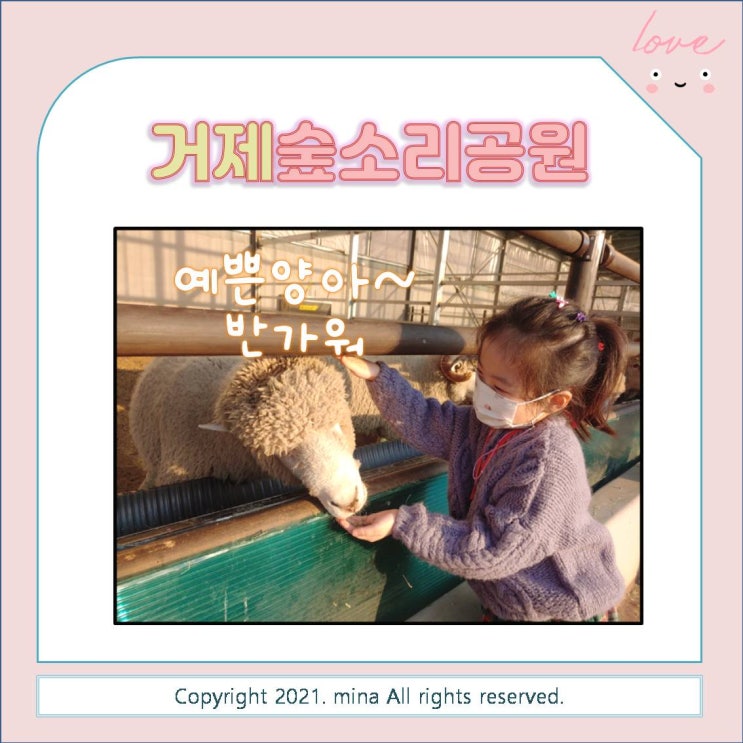 신나는 놀이터와 양떼 먹이주기 체험까지 - 거제숲소리공원