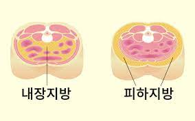 다이어트 식단 먼저? 운동 먼저?