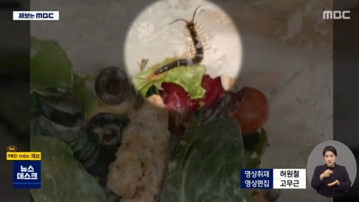 스타벅스 샐러드에서 살아있는 지네 나옴 테이크아웃이라 우리 책임 아니라고 했던 본사 스타벅스 샐러드에서 살아있는 지네 나옴 테이크아웃이라 우리 책임 아니라고 했던 본사
