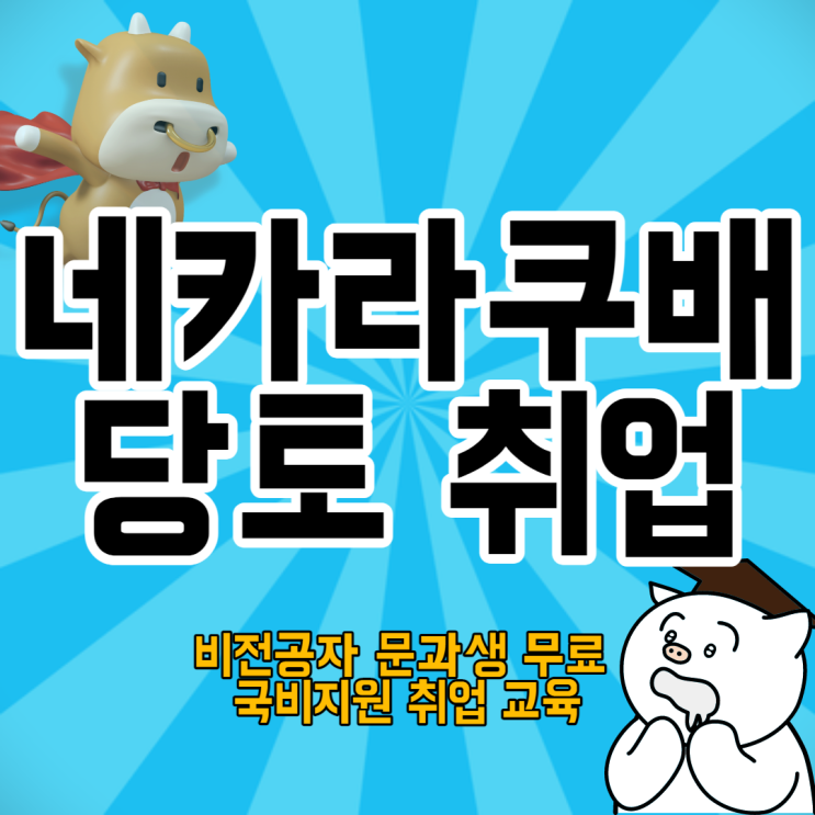  네카라쿠배 당토 문과 비전공자의 it 개발자 취업을 위한 코딩 국비지원교육
