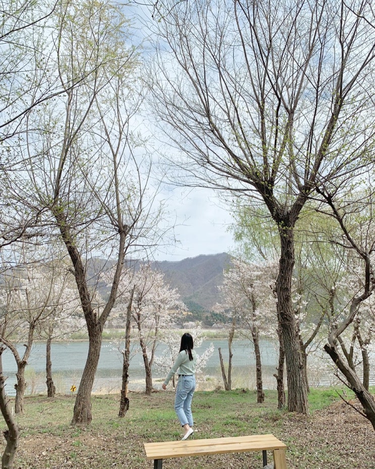  April. 피어나는 봄