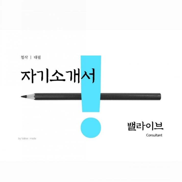  자소서 첨삭안내｜합격을 축하합니다