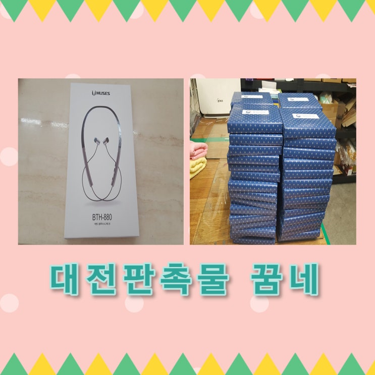  행정안전부 로이체 블루투스 이어폰 납품