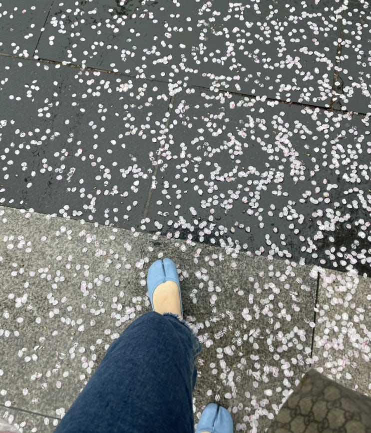 벚꽃이 아름답게