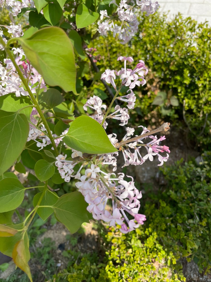 코린이들을 위한 어거 코인(Augur) 소개 및 전망 : 네이버 블로그