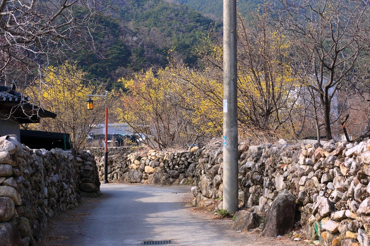  군위 가볼 만한 곳 한밤마을, 돌담길