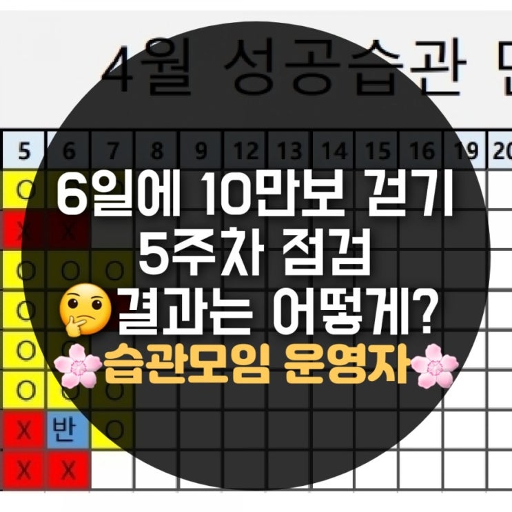 6일 10만보 5주차 과연 이번주도 성공일까?