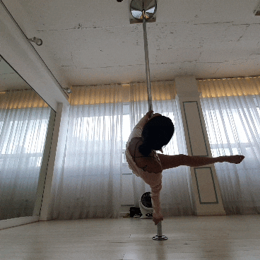 [폴 댄스 효과] 코어 강화 운동 - 속근육의 중요성