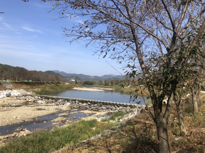 사진 3