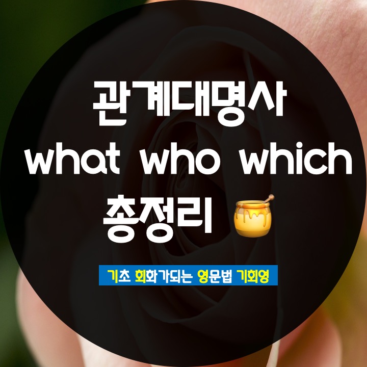  관계대명사 what that 절 쉽게 정리 - 기회영