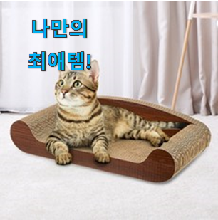  제일 인기있는데는 이유가 있엇네요 특가 고양이 스크래쳐 클릭 드디어 발견 갖고싶어요.